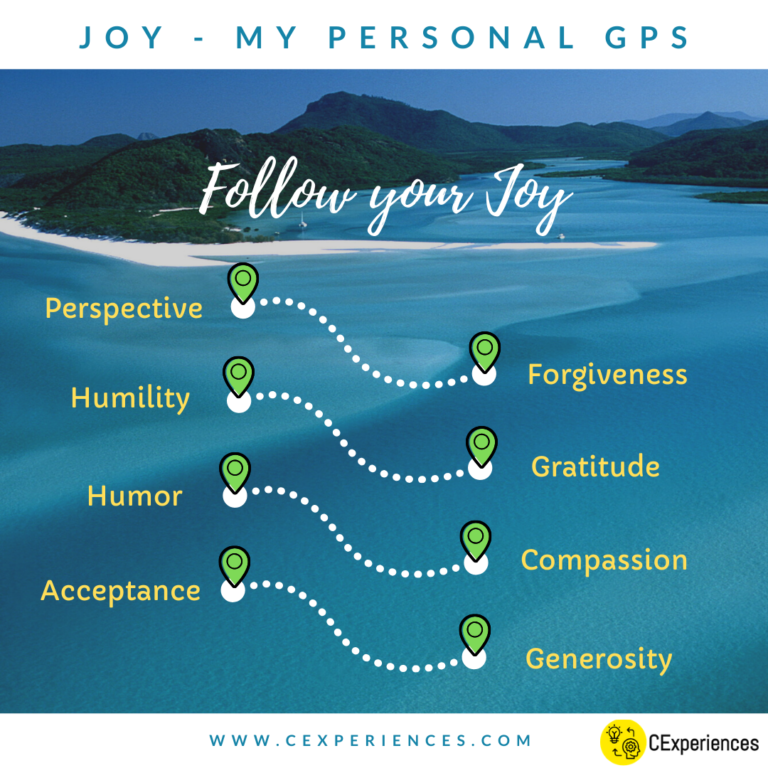Joy GPS